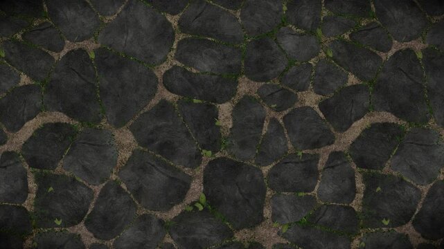 Abstract pattern background of dark gray natural stone tiles, earthy brown grout, and green foliage, a seamless loop video background