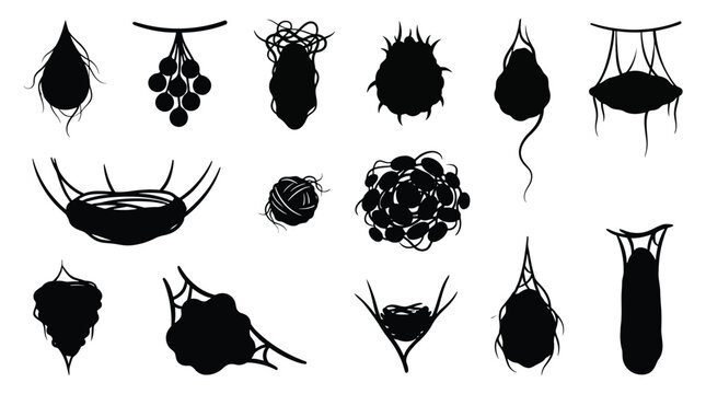 Set of spider egg sacs and insect nests, hanging cocoons and webs