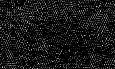 Abstract dark grunge fish scale texture background in monochrome. © Pandawa