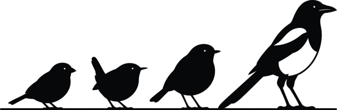 Progressive avian silhouettes of varying sizes in an ascending sequence, representing growth, evolution, and diversity, ideal for educational graphics, biological studies, and comparative analysis