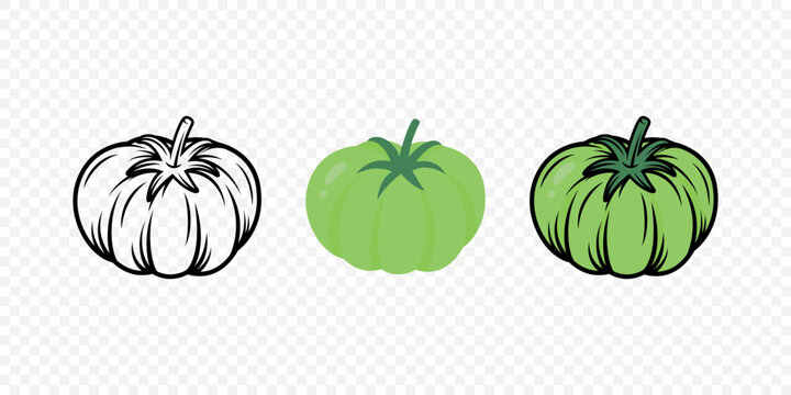 Cartoon Green Tomato Set, Vector Illustration. Green Tomato Isolated. Fresh Vegetable Ripeness Stages, Food Design, Farm Produce Clipart
