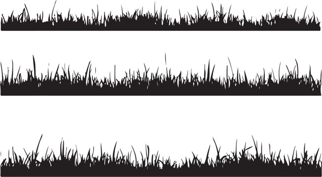 Black grass silhouettes, grassy texture, landscape border, vector grass