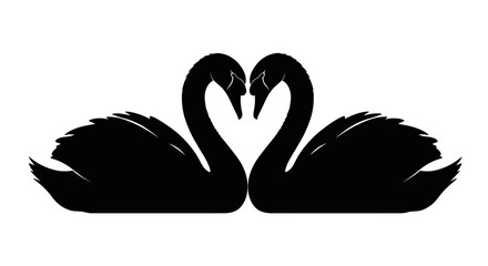 Black silhouette of two swans forming a heart shape with their necks on white background with curved necks with illustration, relationship, monochrome © Kamola