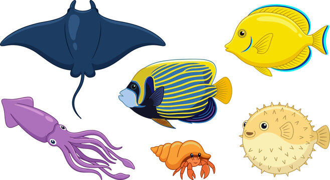 Sea animals collection vector illustration with stingray yellow tang angelfish squid hermit crab and puffer fish isolated on a white background