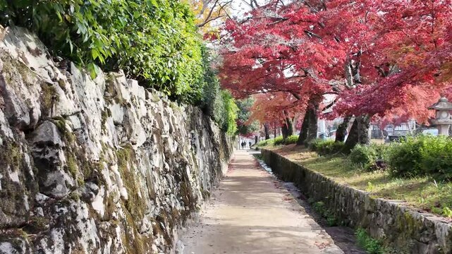 Gateway Station To Mount Hiei And Historic Sakamoto District Nov 27 2025