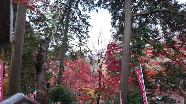 Bishamondo Temple Autumn Foliage in Kyoto Japan Scenery Jan 26 2025