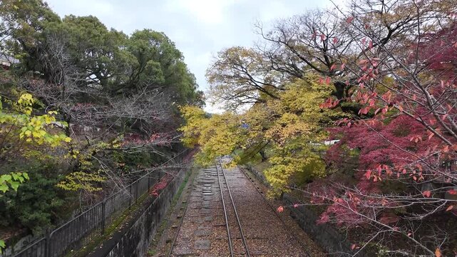Keage Incline Historic Rail Slope With Seasonal Jan 26 2025