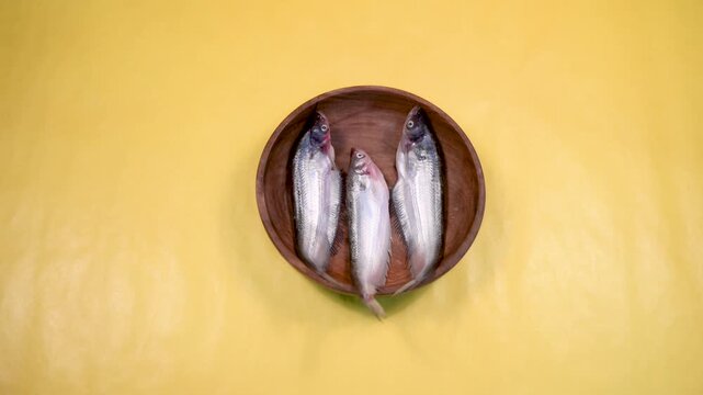 Close-up 4K video of a fresh raw Ompok bimaculatus (Pabda/Parda fish) in a wooden bowl held by an Indian man against a yellow background. Seafood, aquaculture, nutrition, and fresh market concepts.