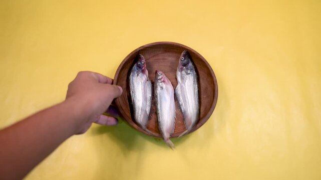 Close-up 4K video of a fresh raw Ompok bimaculatus (Pabda/Parda fish) in a wooden bowl held by an Indian man against a yellow background. Seafood, aquaculture, nutrition, and fresh market concepts.
