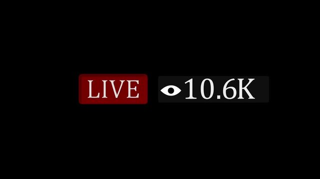 Social media analytics tracking displays user viewer count growth indicators online. Live video streaming dashboard applications employ a social media analytics tracking screen.