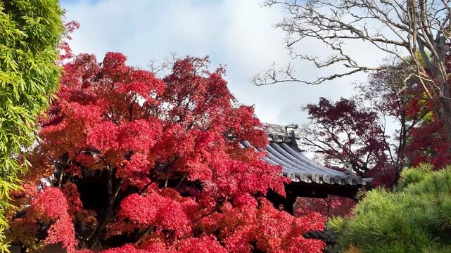 Tenjuan Subtemple Garden Within Nanzenji Complex Kyoto Jan 26 2025