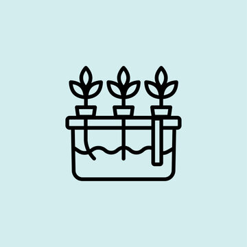 Hydroponics System for Modern Farming