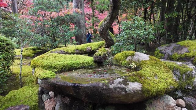 Tenjuan Subtemple Garden Within Nanzenji Complex Kyoto Jan 26 2025