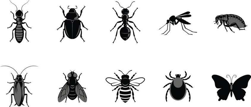 Insect Silhouette Icons Collection Featuring Termite Beetle Ant Mosquito Flea Cockroach Fly Bee Tick Butterfly Vector Illustration Set