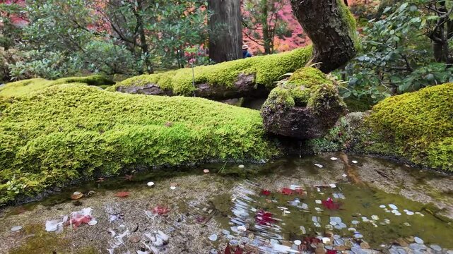Tenjuan Subtemple Garden Within Nanzenji Complex Kyoto Jan 26 2025