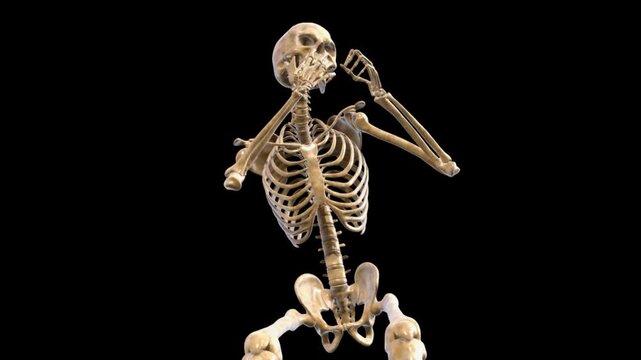 Dancing Skeleton Vector Animation Green Screen | Funny Cartoon Skeleton Motion Graphics 4K