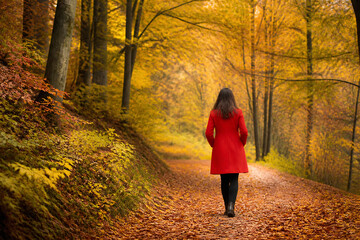 Naklejka premium A woman in a red coat walks down a path covered in autumn leaves surrounded by yellow and orange trees.