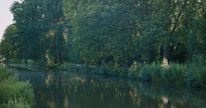 Peaceful waterway winding through dense woodland with tall trees casting reflections on the still surface