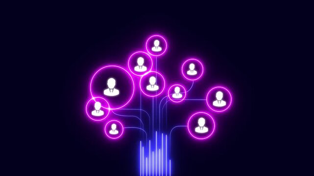 User network connection animation maps branching staff profile nodes on black pages. Corporate hierarchy organization tools apply a user network connection animation chart.