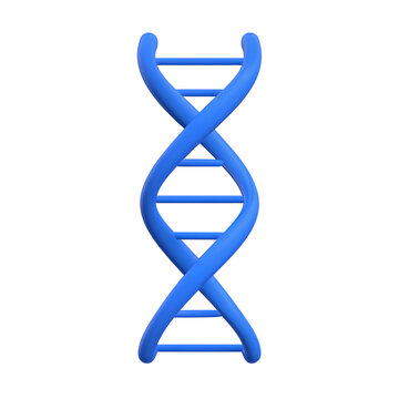 3D DNA Helix Strand Structure on White Background for Science, Medical Research, Biotechnology, Genetics and Molecular Biology Illustration Concept