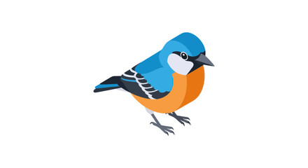 Colorful bird with blue wings and orange breast © mcgr