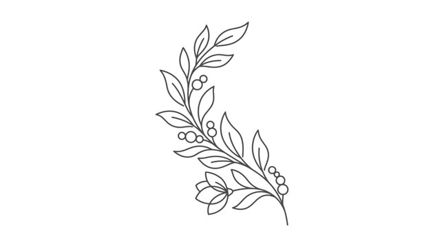 Minimalist hand drawn botanical branch with leaves and berries.