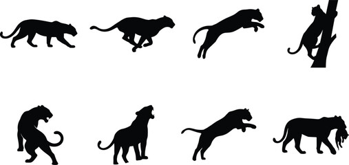 Fototapeta premium Big cat silhouette icon set featuring dynamic predator poses and hunting movements