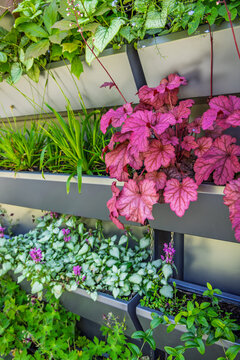 Modern vertical garden with diverse plants in tiered planters