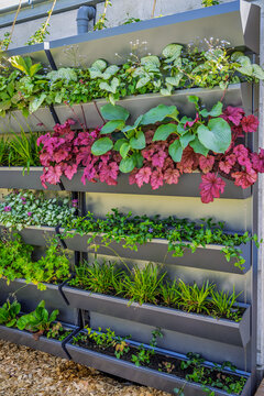 Modern vertical garden with diverse plants in tiered planters