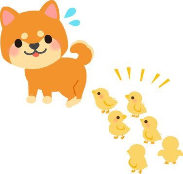 シバイヌを追いかけて歩くヒナ、刷り込み