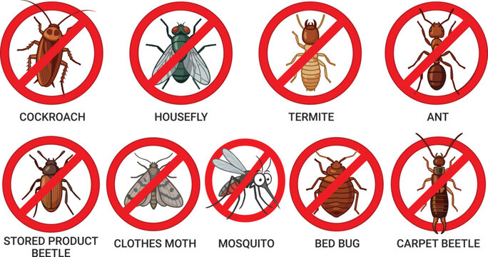 Pest control vector icon set with red prohibition stop signs for household insect exterminator concepts