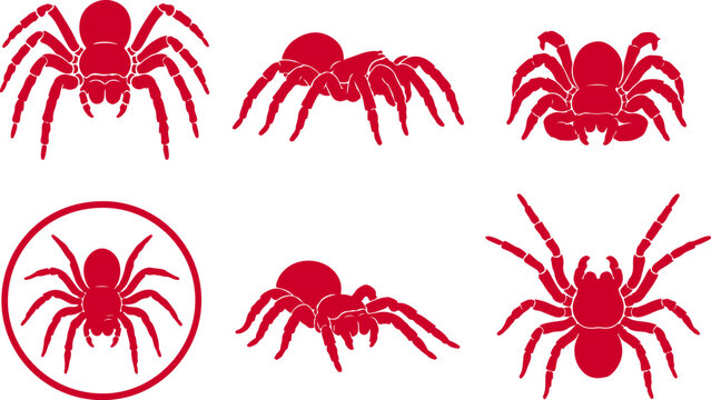 Trapdoor Spider Silhouette Icon Set Black Vector Mygalomorph Arachnid Collection