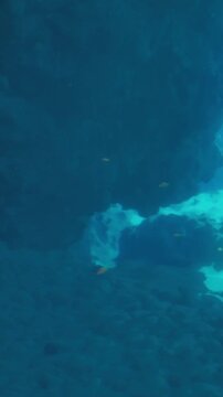 Diving into the ocean shows large rock formations under water. Sunlight shines through the water, creating light patterns. Fish swim nearby, adding to the underwater scene.