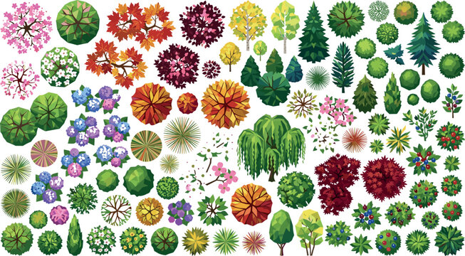 Top view tree and shrub plant entourage vector collection for landscape architecture and garden design plans