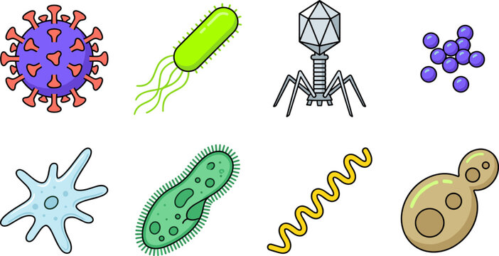 Microscopic bacteria virus and micro organism vector illustration set featuring bacteriophage amoeba paramecium and colorful cell types isolated on white background.
