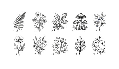 Hand drawn botanical vector illustration set featuring various forest nature elements © YEASINHAKIM