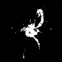 Obraz premium Grunge birds droppings black and white. Flat blots style vector illustration. Map. Abstract paint drop. 