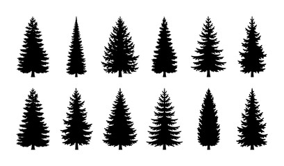 Obraz premium Diverse Pine Tree Silhouettes, Evergreen Conifer Vector Icons Set, Forest Woodland Nature Elements Collection, Black and White Graphic Assets