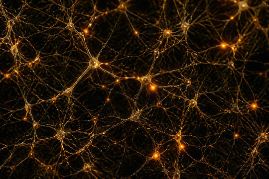A complex, glowing network of interconnected nodes and lines against a dark background suggests a visualization of a neural network or abstract data structure.