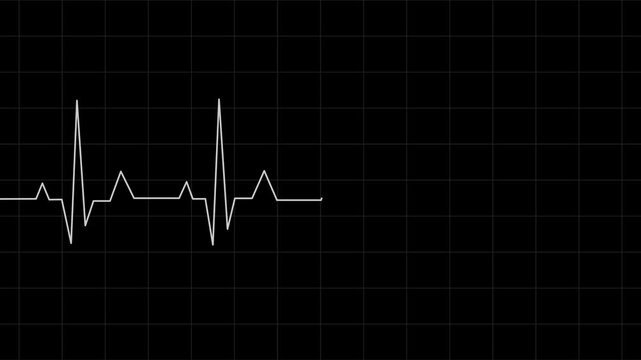 Heartbeat and pulse rate signal colorful technology animation on grid heart beat line icon animated video on blank background.