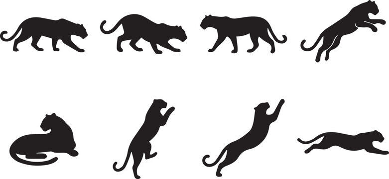 Black Panther Silhouette Vector Set Featuring Prowling Leopards Stalking Jaguars Crouching and Leaping Wild Cat Icons