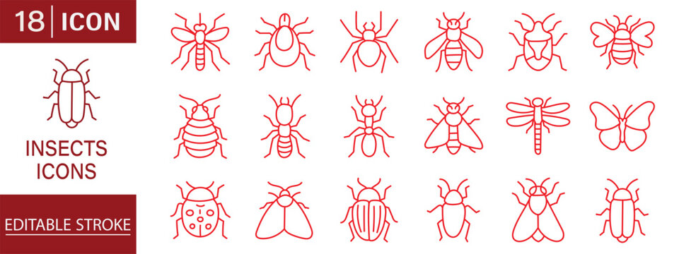 Black outline insect and bug icon set in minimalist line art style with snail, butterfly, ant, spider, bee and caterpillar pictograms.