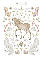 Naklejka premium Watercolor wildlife poster with forest animals and nature elements. Moose, squirrel, wolf, hedgehog, snail, flowers, butterflies, mushrooms, pinecone.