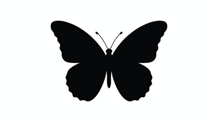 Black butterfly silhouette against a white background silhouette © Nurunnar
