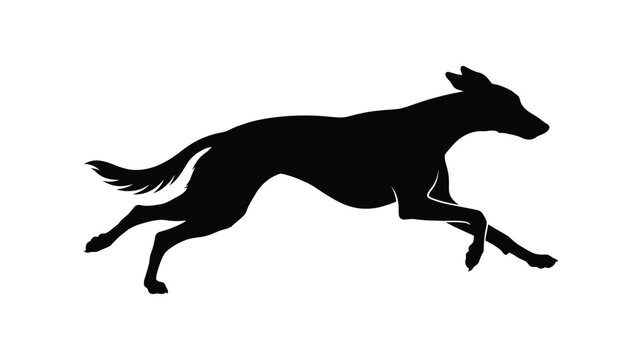 Running greyhound dog in dynamic pose black silhouette