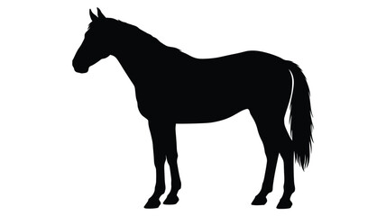 Obraz premium Horse Silhouette Against A White Background Black And White Silhouette