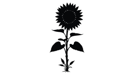 Sunflower plant in black silhouette against a white background silhouette © Nurunnar