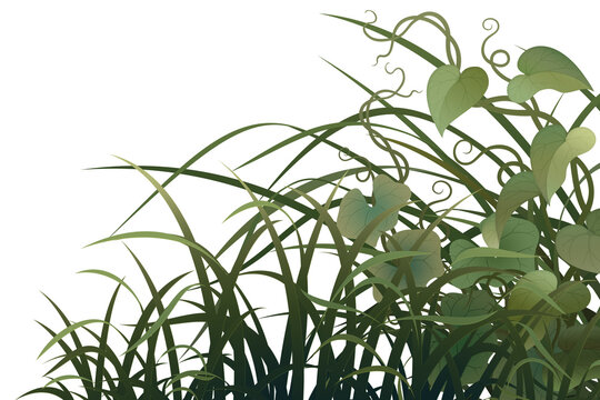 Graphic assets featuring leaves and grass for backgrounds, suitable for transparent backgrounds, postcards, cards, and compositing.