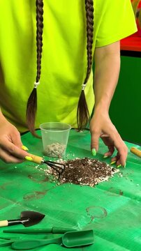 Mixing Potting Soil And Perlite For Houseplants