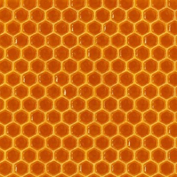 Perfectly Seamless Realistic Honeycomb Texture
